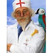 Медицинское страхование фото