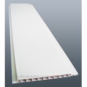 Панель пластик Белый 6,0м*0,1м*10мм 3100 У P1 фото