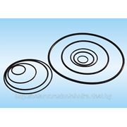 Резиновые кольца круглого сечения ТУ РБ 00149438.093-99 фотография