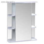 Зеркало-шкаф "Тура", с двумя секциями полок, 65 х 15,4 х 83,2 мм