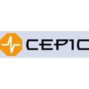 Насосы для коррозионных абразивных жидкостей CEPIC (Франция) - фото