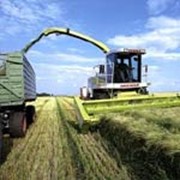 Насос - дозатор НВУ-3 фото