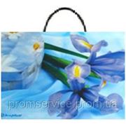 Подарочный пакет с пластиковой ручкой 35х32 (100шт./уп.) Ивано-Франковск фото