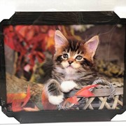 5D картина “Котёнок в лукошке“ 30 х 40 см фотография