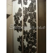 Двери для шкафов купе с тёмный узором фото