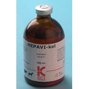 Гепавикел 100 мл (лечение кетоза)