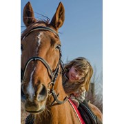 Прогулянки на конях на Львівському іподромі фото
