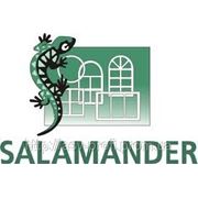 Окна Salamander фото