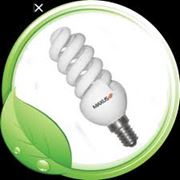 Энергосберегающие лампы MAXUS фото