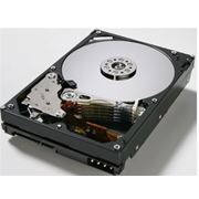 Диски жесткие фото