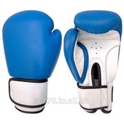 Боксерские перчатки Арт. GSC-1003