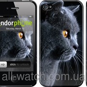 Чехол на iPhone 4 Красивый кот “3038c-15“ фотография