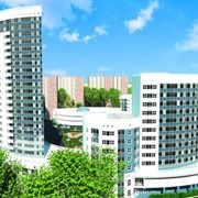 Реализация инвестиционных проектов в строительстве фото