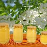 Мед акациевый от производителя Украина, экспорт