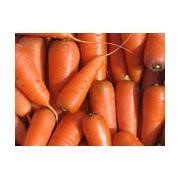 Морковь замороженная фотография