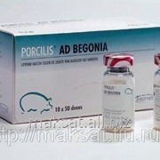 Вакцина Порцилис Bеgonia Ауески 10х100 доз