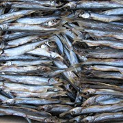 Рыба вяленая различных видов оптом по Украине