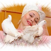 Номер с голубями фото