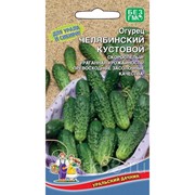 Огурец Челябинский кустовой 12шт. (Уральский дачник) фотография