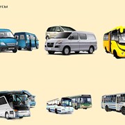 Услуги по перевозке грузов и пассажиров автобусами и микроавтобусами