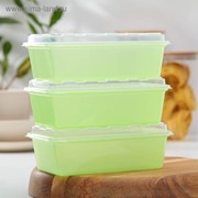 Набор контейнеров для заморозки 1 л Zip, 3 шт, цвет зеленый фотография