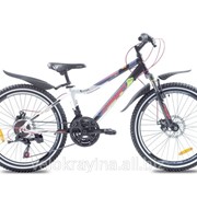 Подростковый горный велосипед Premier Dragon 24 Disc 13 2016 черный с белым фото