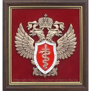 Панно Эмблема Федеральной службы по контролю за оборотом наркотиков (ФСКН России) фото