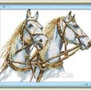 Набор для вышивания “Пара лошадей“ D326 фотография