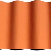 Краска резиновая. Цвет Оранжевое лето. фотография