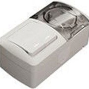 EVA Выключатель 2-й+Розетка с заземлением с прозрачной крышкой накладной светло-серый IP54 554-011500-922 фотография