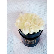 Розы белые в коробке MAISON des FLEURS фото