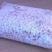 Мицелий грибов фото