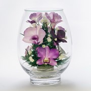 Орхидея в стекле Vs-o1 фото