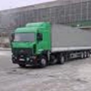 Международные автоперевозки грузов