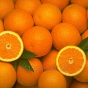 Апельсин с Египта фото