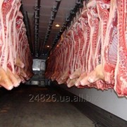 Мясо свинины полутуши фотография
