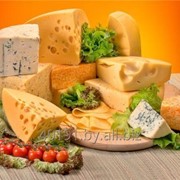 Сыр весовой фото