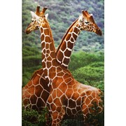 Настенный обогреватель “Жирафы“ фото