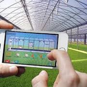 Системы управления климатом в теплицах промышленного и фермерского значения. фото