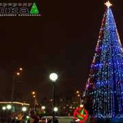 Рождественская елка фото