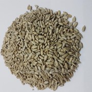 Семена Подсолнечника Купить Казахстан