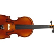 Скрипка Hora V-100 (1/2) фотография