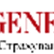 Полис страхования жизни - обеспеченное будущее, финансовая независимость после выхода на пенсию