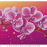 Схема для частичной вышивки бисером Ветка орхидеи