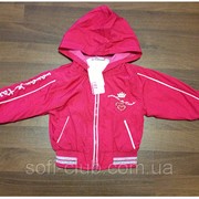 Куртка ветровка для девочек оптом р.80-86-92 фотография