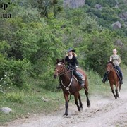 Конные походы и катание на лошадях в Крыму фото