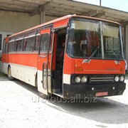 Рычаг регулировки тормоза задн. фото