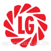 LG 5658 CL ( Limagrain LG ) фотография
