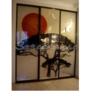 Двери для шкафов купе в японском стиле фото