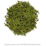 Грыжник гладкий (Herniaria glabra, smooth rupturewort) трава 100 грамм фото